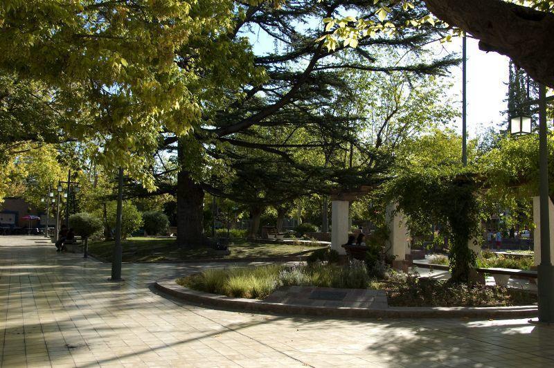 Alonso Chacras Lodge 查克拉斯德科里亚 客房 照片